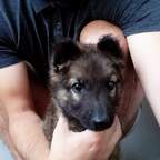 Download bokica OnlyFans videos and photos for free 

 profile picture