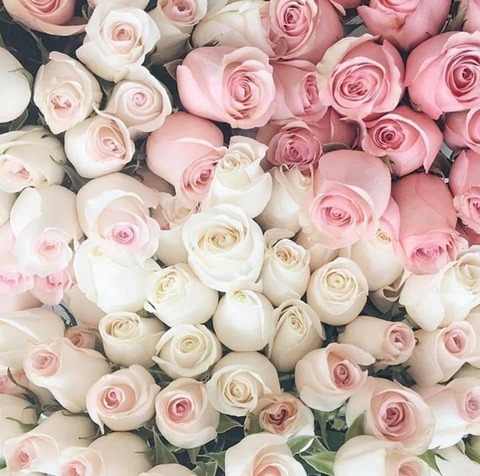 Header of bombshellbelle1987