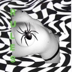 Download boobyqueen OnlyFans content for free 

 profile picture