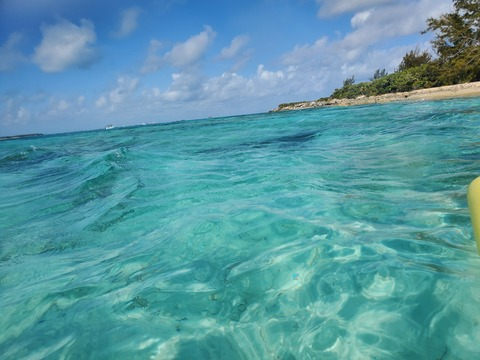 Header of bothsometimes