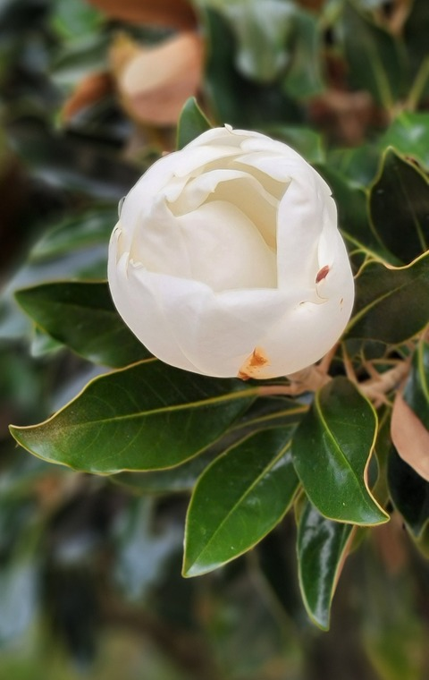 Header of boudoirbaddie