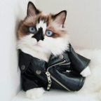 EyesMan89 @brain Leaks OnlyFans 

 profile picture