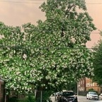 Its Brandiie Bitch (@brandiie7) Leaks OnlyFans 

 profile picture