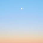 Bridget (bridgetd) Leaks OnlyFans 

 profile picture