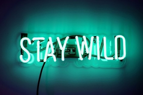 Header of britglitterz