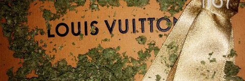 Header of brittniesteele