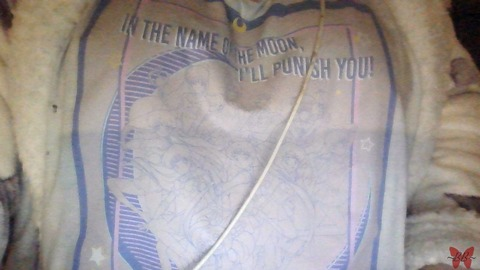 Header of bruised_butterfly