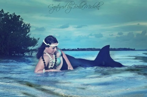 Header of bruised_kitten