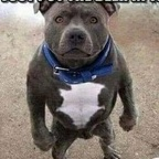 Download brunokajak OnlyFans content for free 

 profile picture