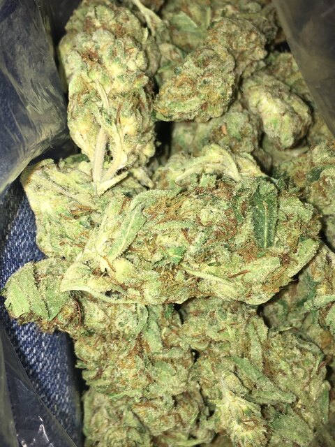 Header of btkdropz210