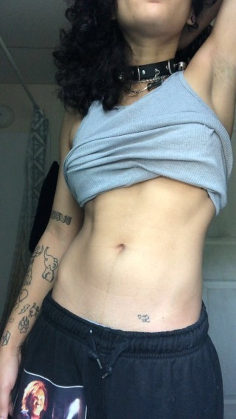 Header of bubbi.teddy