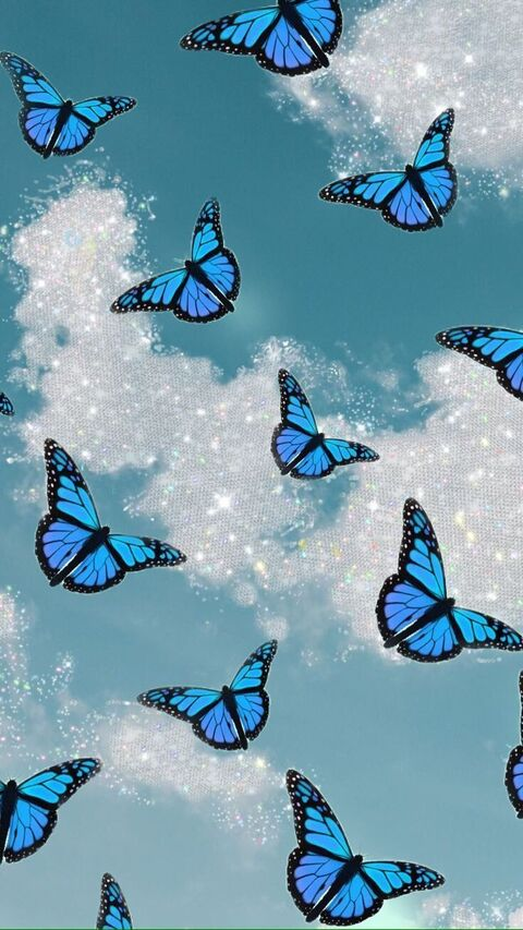 Header of butterfliesmagic