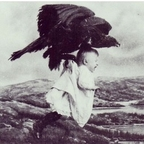 butterflyeffect (u127864) OnlyFans Leaked Pictures and Videos 

 profile picture