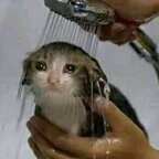 buttholeblunder (Buttholeblunders) free OnlyFans Leaks 

 profile picture