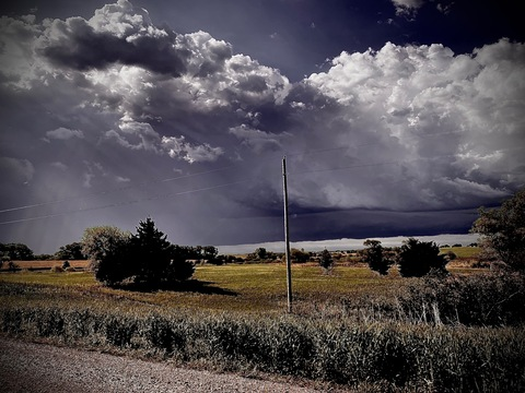 Header of calamarisaid