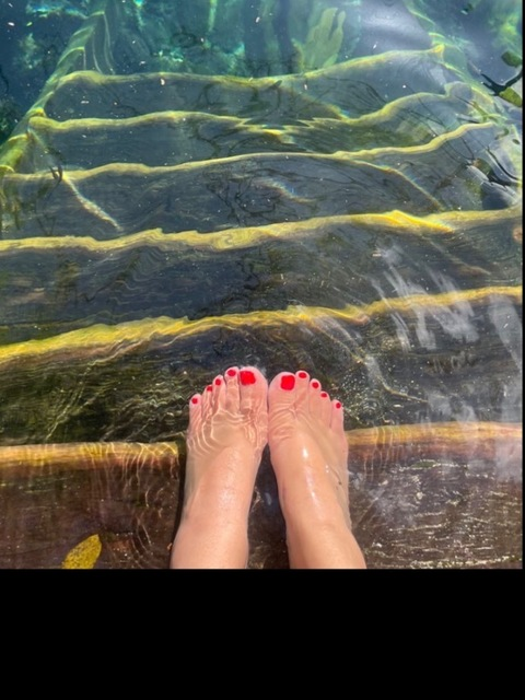 Header of camillaveloz