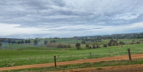 Header of candykanez