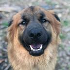 canterbury (Canterbury) OnlyFans Leaked Videos and Pictures 

 profile picture