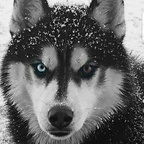 Free access to (@captions) Leak OnlyFans 

 profile picture