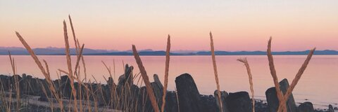 Header of carolinasong