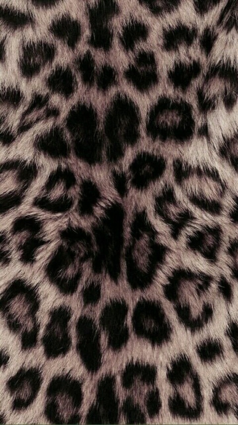 Header of celina.toelli