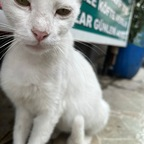 Onlyfans leak cemyildiz 

 profile picture