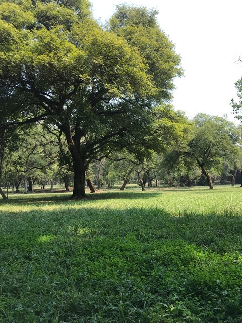 Header of cesar_noceda