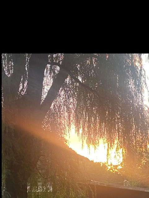 Header of cfree2fly1313