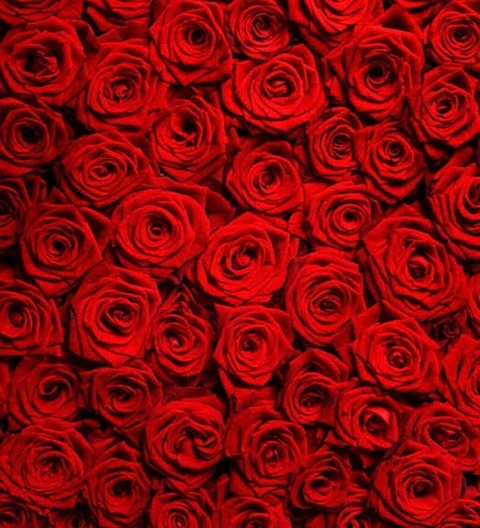 Header of charlierose_x