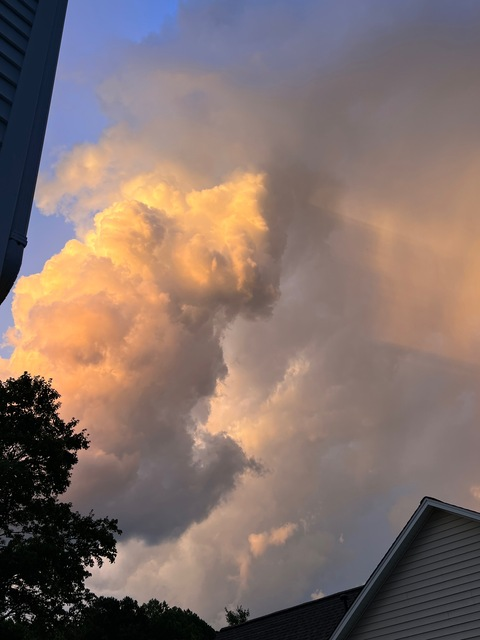 Header of cheekygirl2