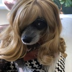 Download chillb0ys OnlyFans leaks for free 

 profile picture