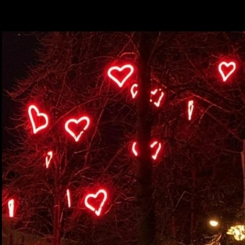 Header of chloehatesyouuu