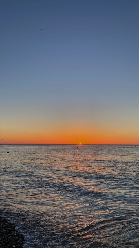 Header of chocorrolfeli