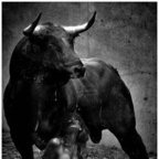 Onlyfans leaked chop6ix 

 profile picture