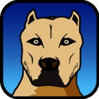 Download citebeur OnlyFans content for free 

 profile picture