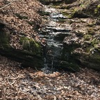 cocklor (MRCUMSLOT) free OnlyFans Leaked Videos and Pictures 

 profile picture