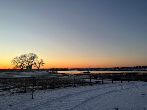 Header of collegeyeah