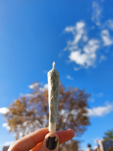 Header of corto_circuito.com