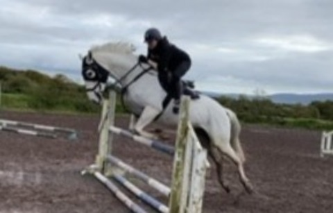 Header of crazyicequeen