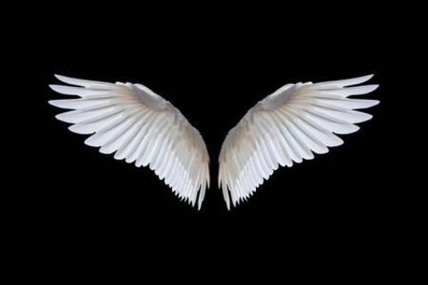 Header of curved_angel