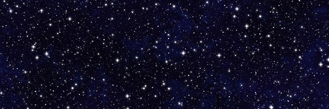 Header of curvycaty_cb