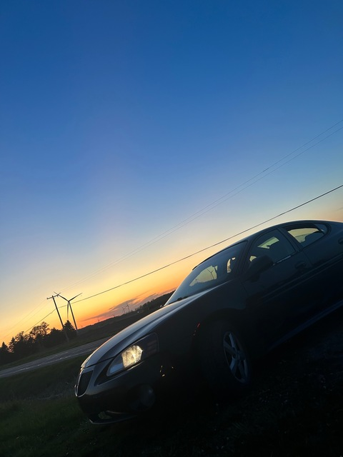 Header of dab_queen_420