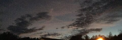 Header of daltonsparks96