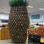 Download dayhn OnlyFans videos and photos for free 

 profile picture