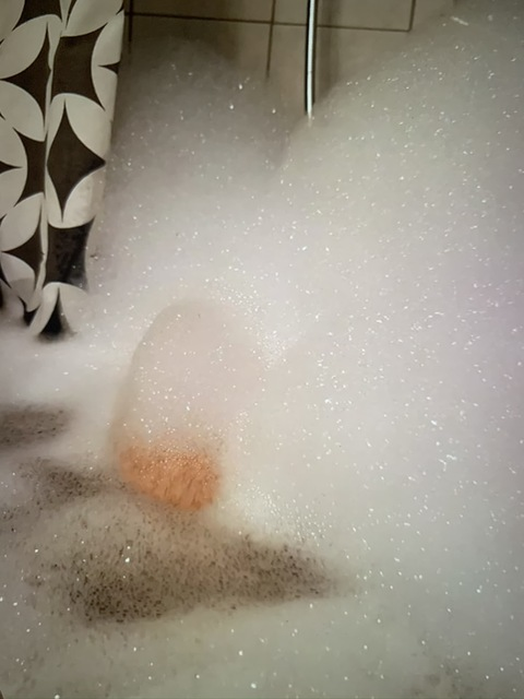 Header of defenderboy