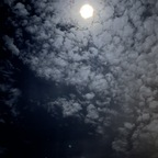 Download delicious.rainbow OnlyFans leaks for free 

 profile picture