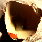 deuterusadtumulum OnlyFans Leaked Photos and Videos 

 profile picture