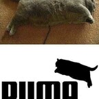 Free access to dikdrawings Leak OnlyFans 

 profile picture