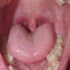 dirtyteacup1 OnlyFans Leak 

 profile picture