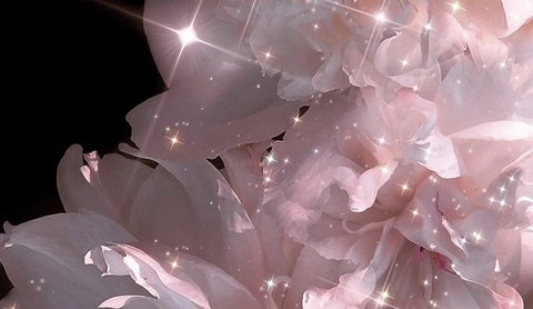 Header of doubledahliaa